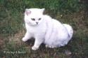 EC S*Esteticas Ariel (Amie) 2 years