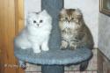 S*Esteticas Beata and S*Esteticas Zelda 2 months