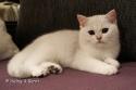 S*Esteticas Harry 16 weeks - nr 1