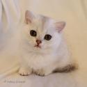 S*Esteticas Hera 8 weeks - nr 1