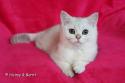 S*Esteticas Hugo 16 weeks - nr 1