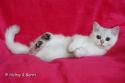 S*Esteticas Hugo 16 weeks - nr 2