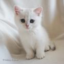 S*Esteticas Hugo 8 weeks - nr 1