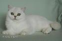 S*Esteticas Iza (Iza) 13 months - nr 1