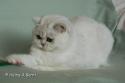S*Esteticas Iza (Iza) 13 months - nr 2