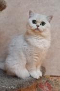 S*Esteticas Iza (Iza) 3 years hylla - nr 1