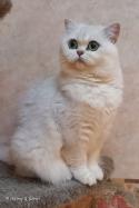 S*Esteticas Iza (Iza) 3 years hylla - nr 2