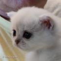 S*Esteticas Iza (Iza) 4 weeks - nr 3