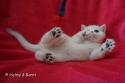 S*Esteticas Iza (Iza) 6 weeks - nr 2