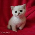 S*Esteticas Iza (Iza) 6 weeks - nr 3