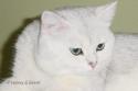 S*Esteticas Jingel (Jingel) 1,5 years head