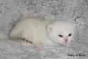 S*Esteticas Napoleon (Napoleon) 2 weeks