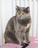 S*Esteticas Ofelia 11 months