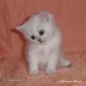 IC S*Esteticas Regina Rixie 4 weeks - nr 2