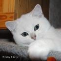 S*Esteticas Uranus (Uffe) 15 weeks