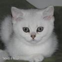 S*Esteticas Unessa (Unessa) 11 weeks - nr 1