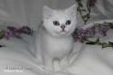 S*Esteticas Valdemar 8 weeks - nr 2