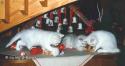 CH&PR S*Esteticas Xenon (Churchill), S*Esteticas Xenedra (Mia) and S*Esteticas Xerxes 9 weeks julkort97