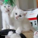S*Esteticas Zimba 7 weeks