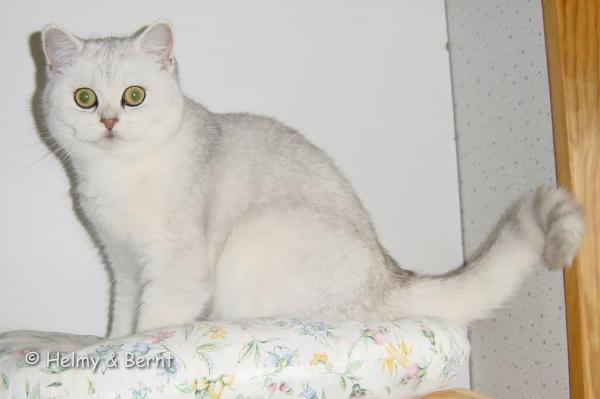 GIC S*Esteticas Eloisa Enya (Enya) 8 months
