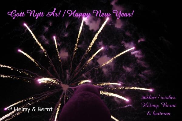 Happy New Year 2007