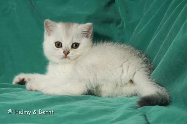 S*Esteticas Hera 8 weeks - nr 2