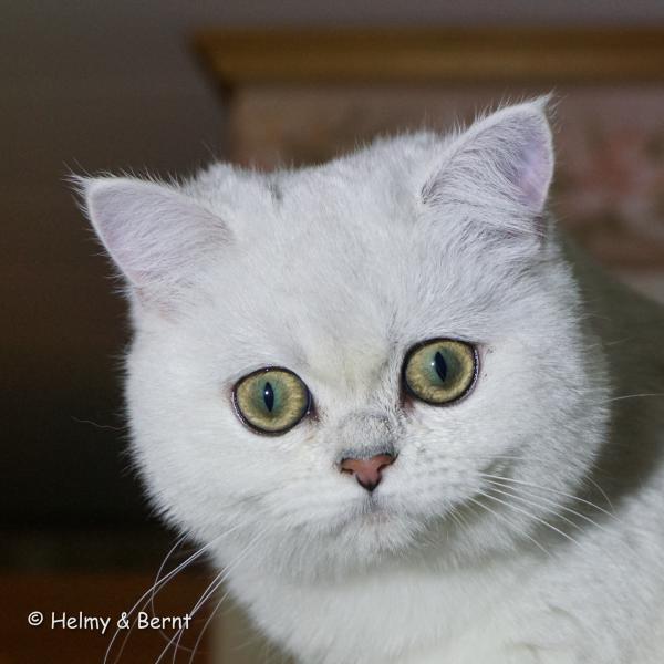 S*Esteticas Iza (Iza) 5 months head