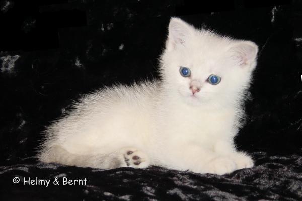 S*Esteticas Jatzi (Jatzi) 7 weeks