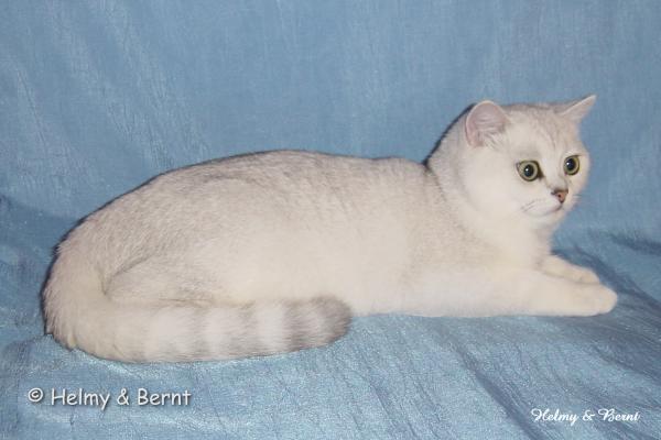GIC Holtas Lindus (Lindus) 5 months