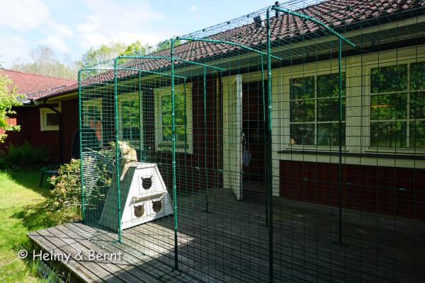 Kattgård