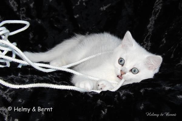 S*Esteticas Valdemar 10 weeks - nr 2
